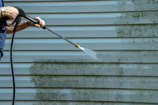 Best Solar Panel Cleaning  in Whiskey Creek, FL